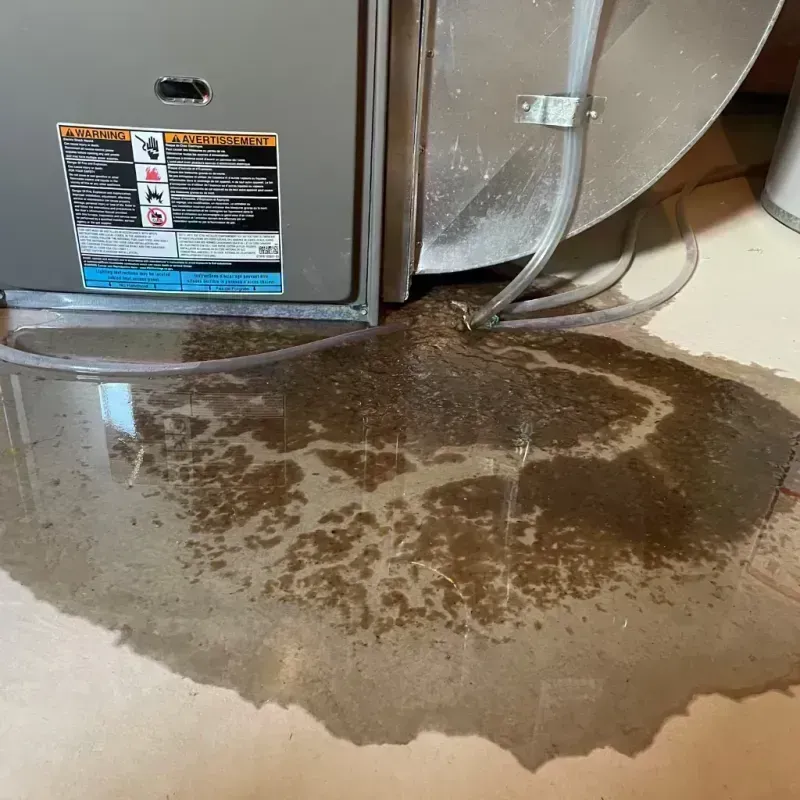 Appliance Leak Cleanup in Brownsville, TN